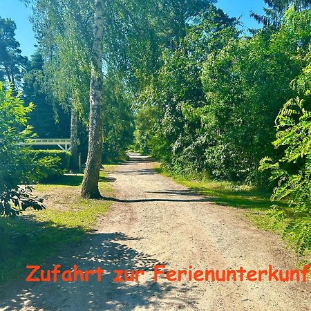 Ferienwohnung Im Gruenen Oranienburg Bagian luar foto